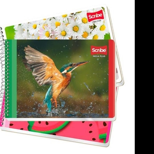 CUADERNO ITAL. MEGA SCRIBE 4534 D.RAYA ESP. 100H. C.48